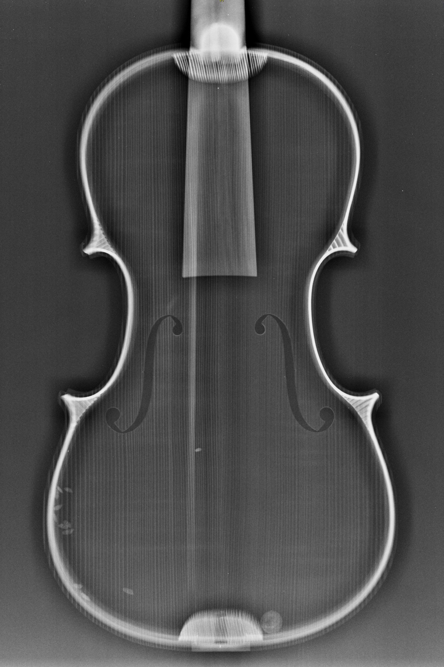 オールドヴァイオリンJAPAN｜古楽器の販売